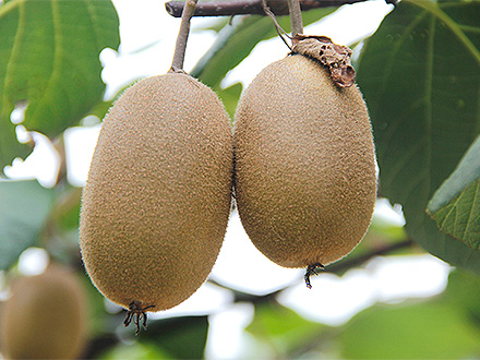 九游官网唯一入口基地展示一